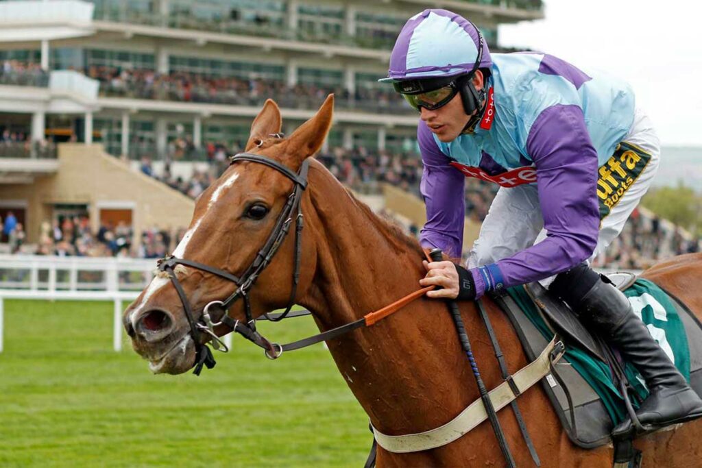 Tim Vaughan Racing Tim Vaughan Racing