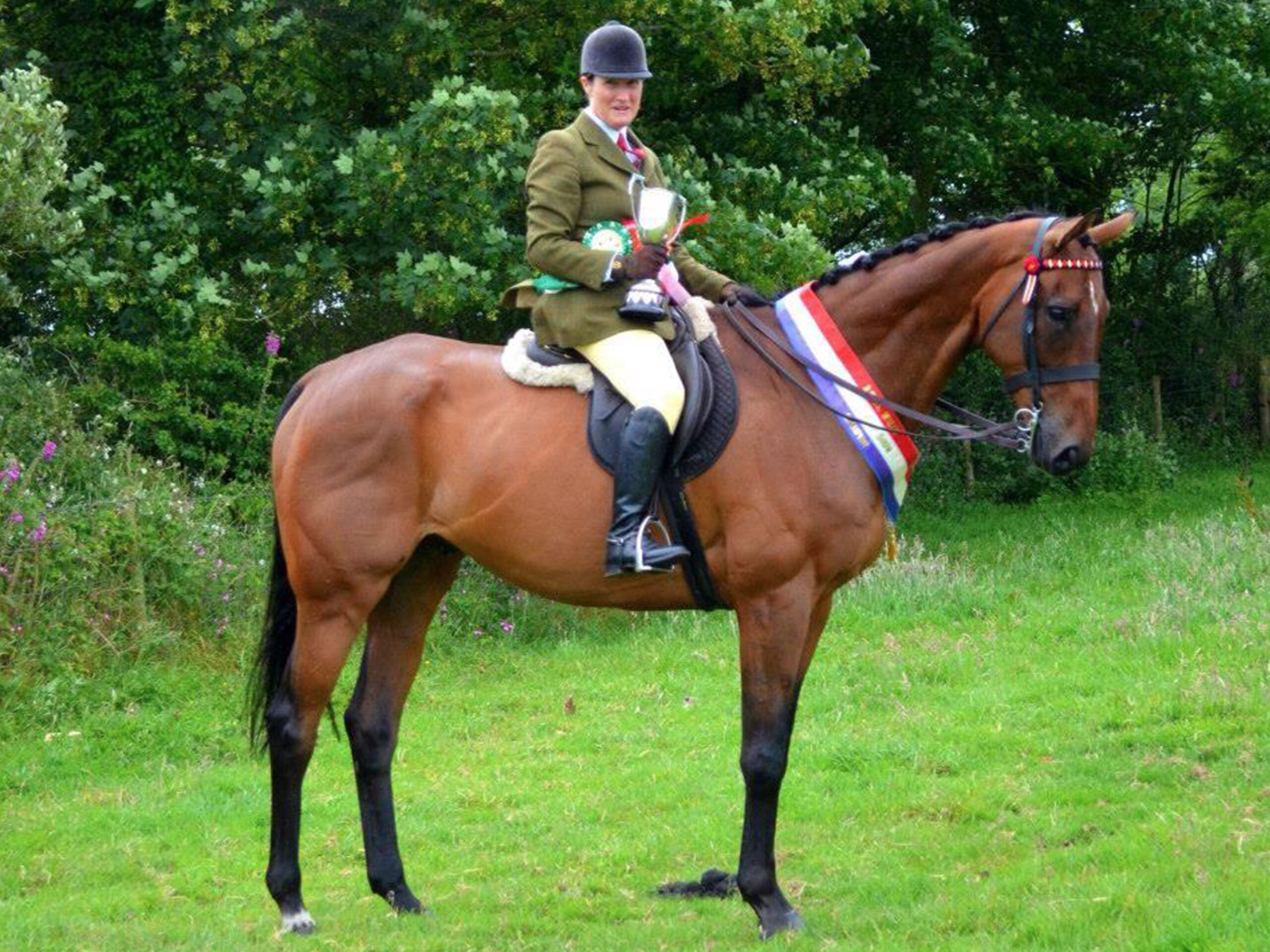 retired__0001_Billybo-winning-at-Pembrokeshire-Hunt-Show