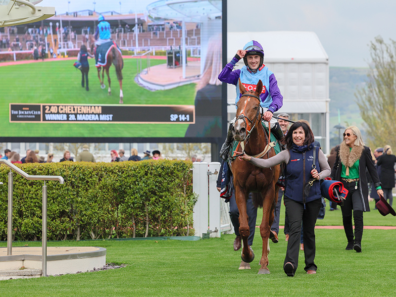 Cheltenham success (again!) for Madera Mist Tim Vaughan Racing