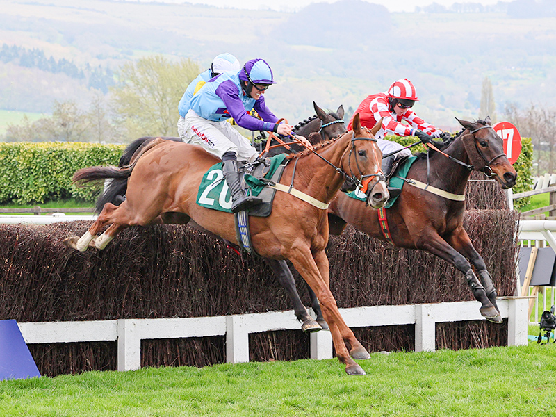 Cheltenham success (again!) for Madera Mist Tim Vaughan Racing