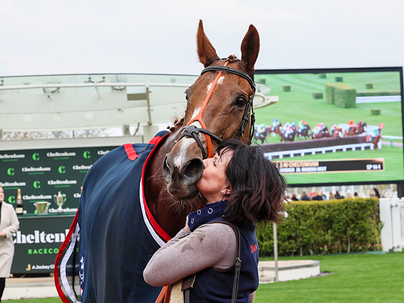 MADERA MIST ridden by Alan Johns wins at CHELTENHAM 19/4/23
Photograph by Grossick Racing Photography 0771 046 1723