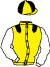 Resident-Property-Software