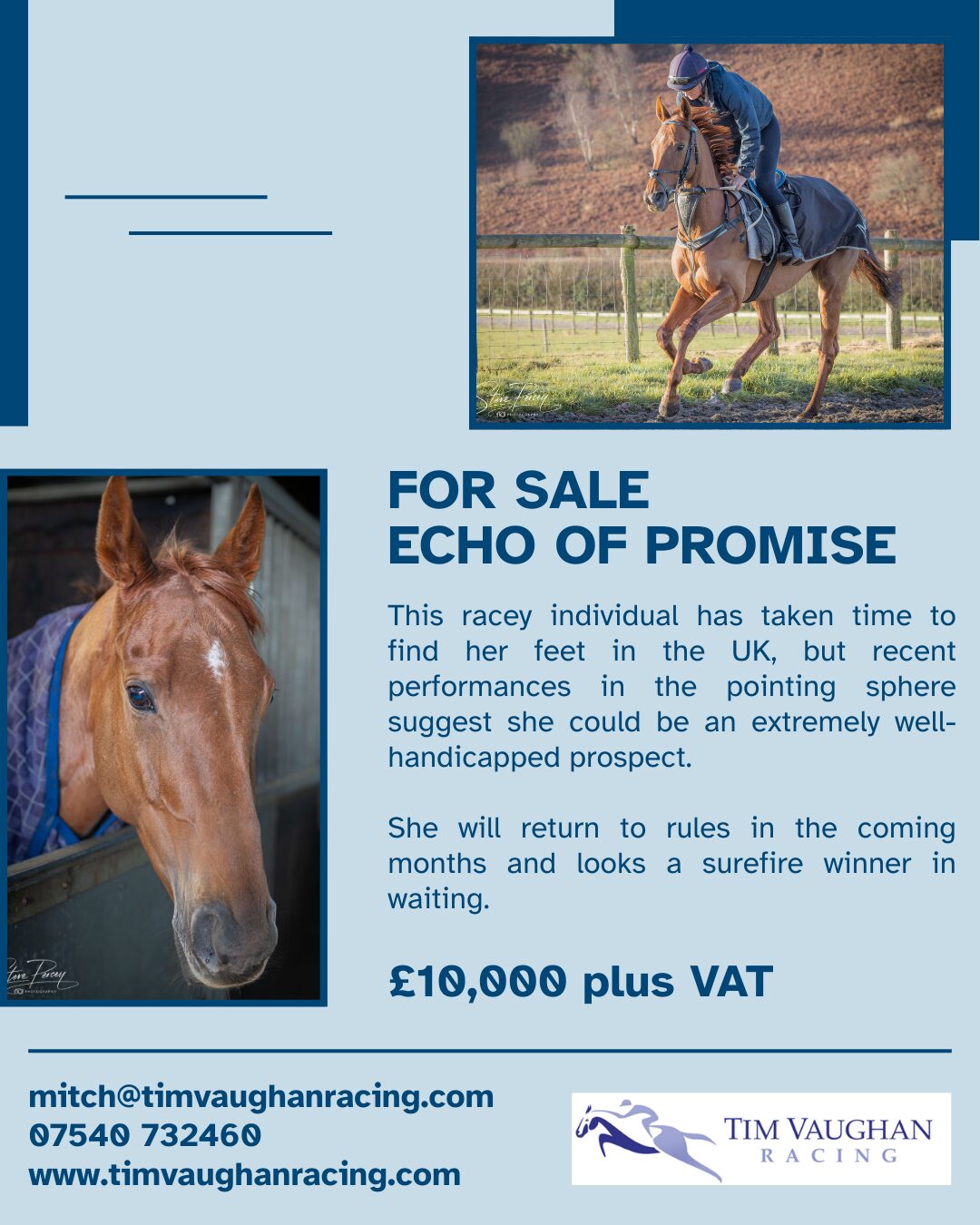 Insta Post - Echo of Promise