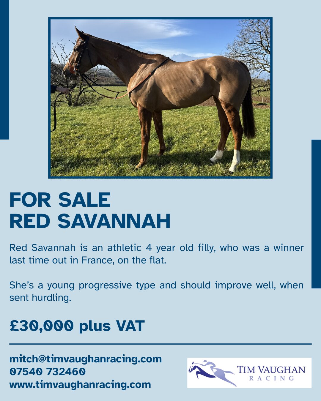 Red Savannah Side Profile