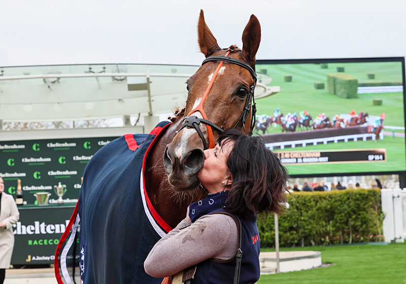 HORSE RACING MADERA MIST ridden by Alan Johns wins at CHELTENHAM 19/4/23
Photograph by Grossick Racing Photography 0771 046 1723